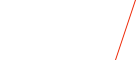 新着情報